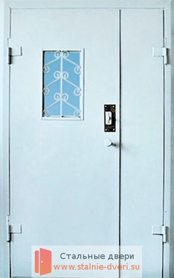 Тамбурная дверь DMP-001