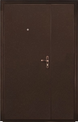 Тамбурная дверь DMP-005