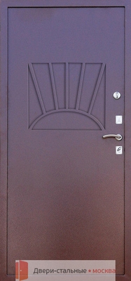 Дверь в кассу DK-006