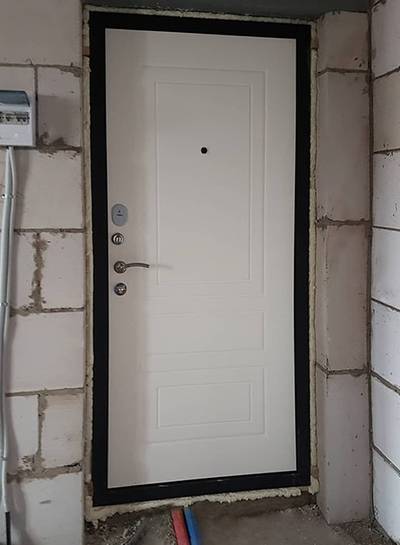 Входная белая дверь