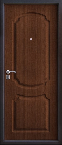 Дверь с порошковым напылением ZK-015